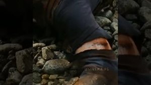 Фильм 🎬 Перси Джексон - Похититель молний⚡(2010)