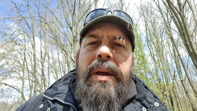 Моё собачье дело #2 смотреть онлайн