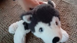 Among us в реальной жизни с котами 3