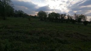 Cinelog 35 пробные полеты в DJI Integra и на BF 4.4