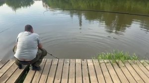 Карп клюет