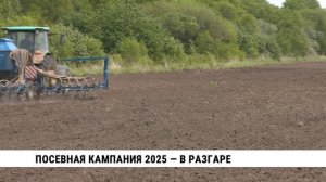 Посевная кампания 2025 — в разгаре