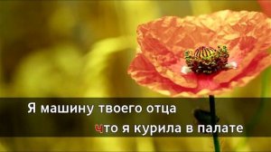 КАРАОКЕ МЭЙБИ БЕЙБИ ТАМОГОЧИ