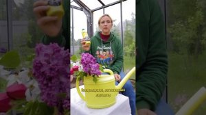 Самый опасный вредитель сада и огорода! Три способа избавиться от хруща