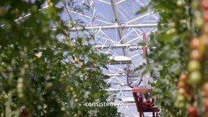 Луи - робот для подвязки томатов и огурцов в теплицах