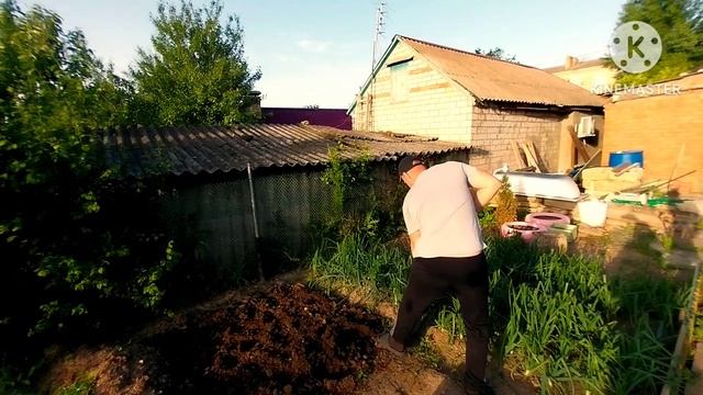 Погибли 2-е животных/первые заготовки/подарок мужу