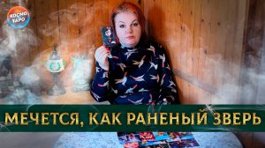 Мечется, как раненый зверь! Что он осознал? | Гадание таро расклад
