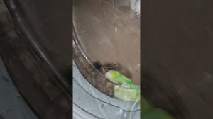 Стирка при помощи (90) градусах