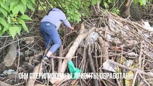 Эти щенки жили в кустах с дикой матерью. Поддержать⬇️