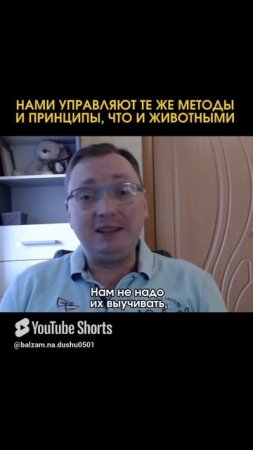 Жизнь - не набор случайных реакций
