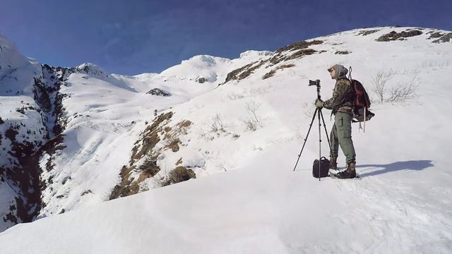 Это фото шокировало весь интернет! Только посмотрите, смотреть онлайн