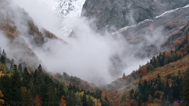Лесные пейзажи качаются на нотах, как на волнах - Align Your Chakras -- Kirk Osamayo -- Season Two (