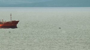 Дания бьёт тревогу: Россия готова сопровождать нефтян