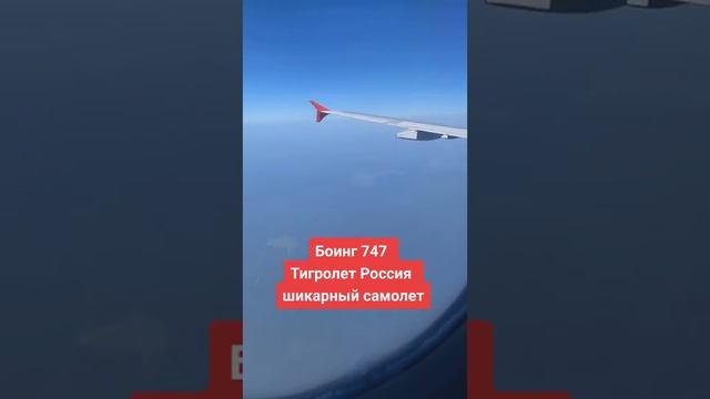 Боинг 747 Тигролет