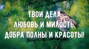 Молитва к Богу приблежает - минус мой