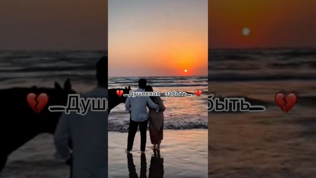 Цыганская песня новая  ищут все ( Счастья моё Mher Asryan )2024 смотреть онлайн