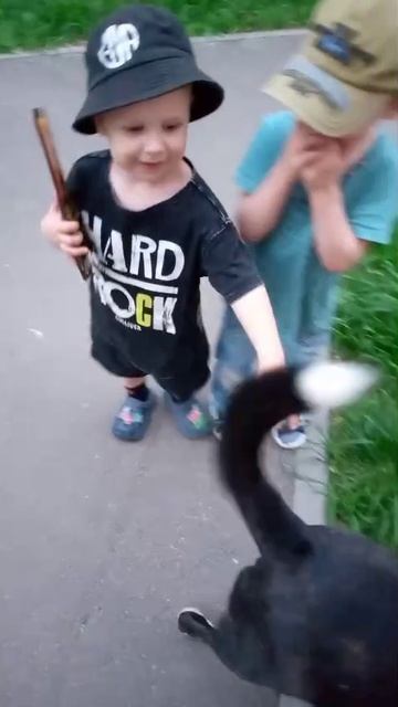 rutube.ru