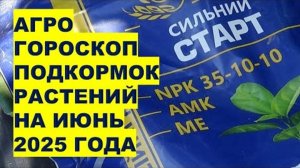 ЭТИ 5 ДНЕЙ ИЮНЯ 2025 — ЗОЛОТОЕ ВРЕМЯ ДЛЯ УРОЖАЯ! 🌱 Подкормите огород сейчас — и он взорвётся