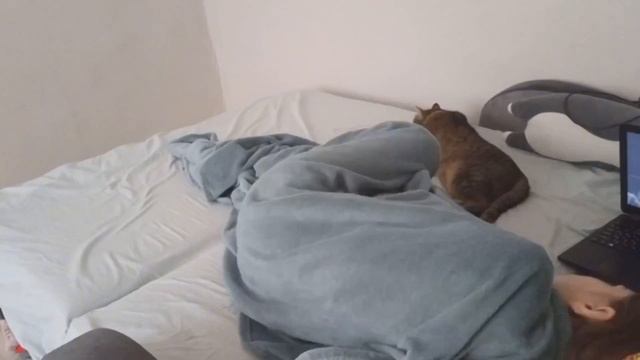 влог болеющего человека• Маркес, рисунки, сон смотреть онлайн