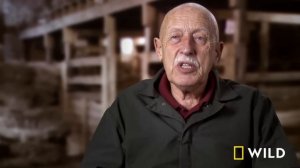 12 Days of Pol: Puppy Pandemonium (Full Episode) | The Incredible Dr. Pol | Nat Geo