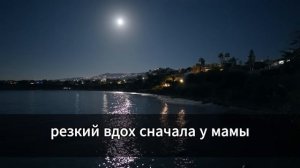 За ужином родители заявили:Твоя сестра будет жить в тв