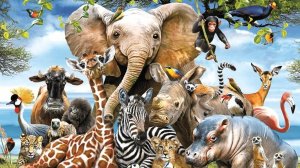 ТОП - 10 самых удивительных животных нашей планеты