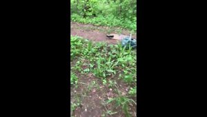 Субботник одинокого волка #313
