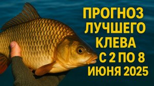 🎣 Лучшие дни для рыбалки с 2 по 8 июня 2025! ТОЧНЫЙ прогноз клева + советы! 🌕🐟