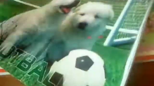 Мои рисунки фнаф и не только!!!!! #2 смотреть онлайн