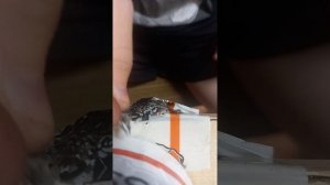 ASMR с бомбочкой