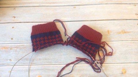 Что выбрали подписчики \ два новых процесса