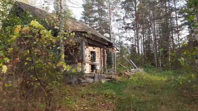 Сплав по реке Лух. Мыт-Мугреево Никольское смотреть онлайн