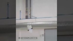 Flapper Nimble+ — это биоинспирированный дрон с машущим крылом от Flapper Drones.