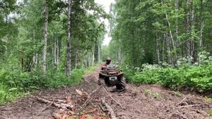 Пихтовый гребень (6+)