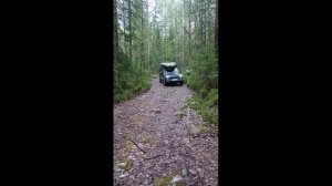 Карелия. Рыбалка. Май 2025