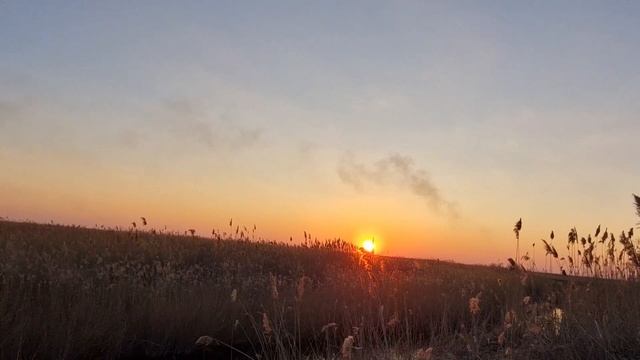 БЕССАРАБСКИЙ ЗАКАТ. ЗВУКИ ПРИРОДЫ СОБАКА И КРАСИВАЯ М