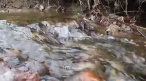 Осторожно мошенники! Развод на различных сайтах знакомств