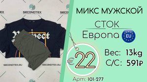 101-277 #2591 Микс мужской (без этикеток) Всесезон Европа