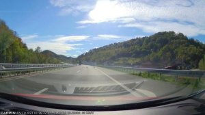 Psi na autoputu Milos veliki - Dogs on the highway Miloš the Great