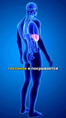 Почему держится высокое давление?