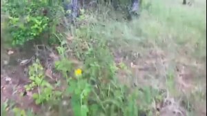 Начинаем велотренировки для здоровья.