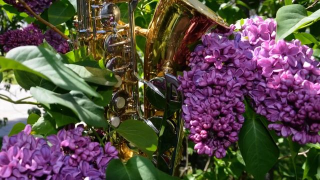 Romantic saxophone It seems like yesterday, my mother Ніби вчора, рідна мамо   АК SAX MUSIC