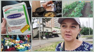 252 Жизнь на юге  🌞НА  РЫНОК. КУПИЛА УДОБРЕНИЕ. НАШ ОГОРОД. ВСЁ ДЕЛАЕМ НЕ ПРАВИЛЬНО.