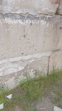 во дворе
