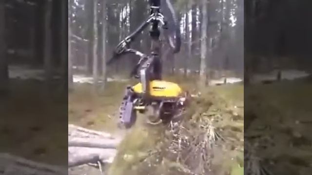 Убийца леса смотреть онлайн