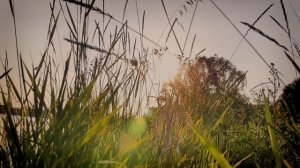 Моя песня о Белорусии! Для всех земляков! Хотите тоже т