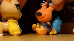 Моя любимая сумасшедшая 5 серия #lps сериал #лпс