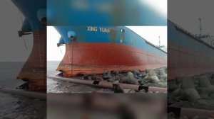 Китайский сухогруз возле города Холмск.