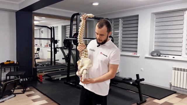 Растяжка ног, которая опасна для здоровья поясницы. Ка смотреть онлайн