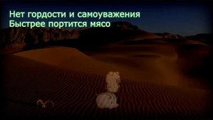 Почему мусульмане не едят свинину?